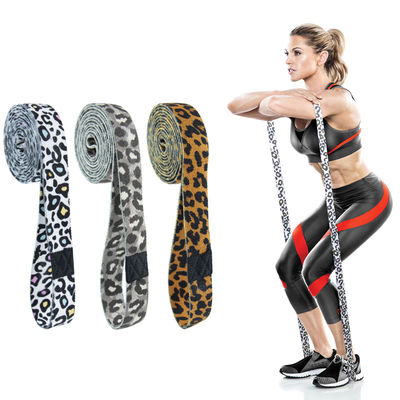 Faixas da resistência do montante 208cm do exercício do exercício da cópia do leopardo ajustadas para o treinamento da aptidão de Crossfit do esporte de Pilates