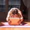 Exercício feito sob encomenda da ioga de Logo Recyclable Wholesale Solid Natural Cork Yoga Block For Indoor